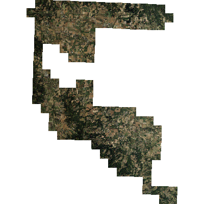 Export Image