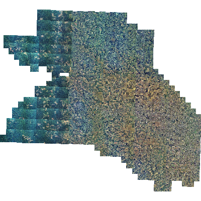 Export Image